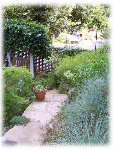 Foliage in a Garden Design