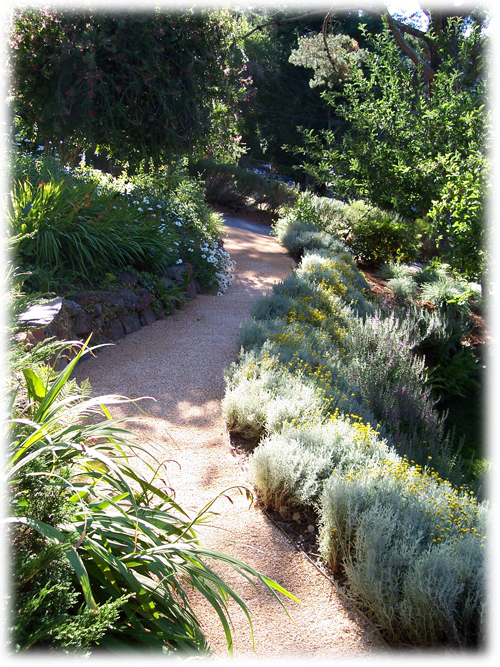 Marin Landscaper