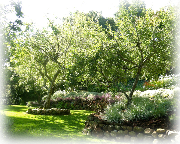 Marin Landscape Architect