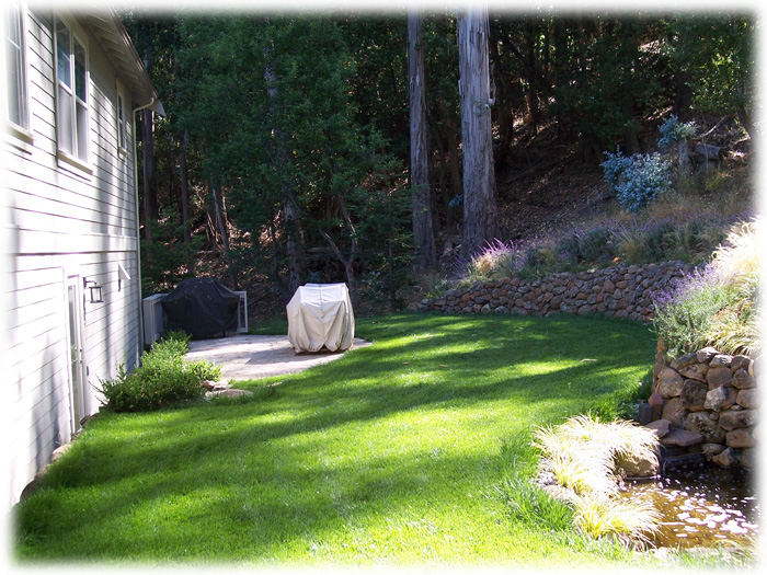 Mill Valley Landscape Design and Installation