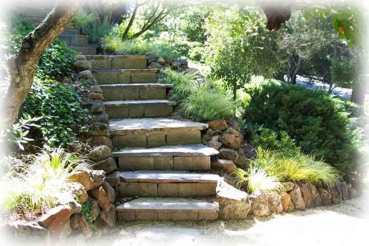 Marin Landscape Contractor