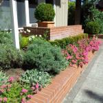 Colorful Plantings in Marin Image 18