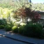 Colorful Plantings in Marin Image 22