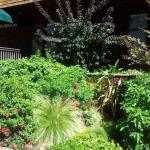 Colorful Plantings in Marin Image 13