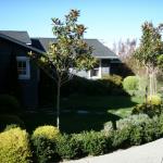 Deer Resistant Plantings in Marin Image 44