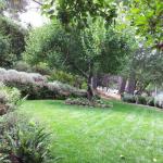 Deer Resistant Plantings in Marin Image 50