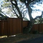 Fences, Gates and Arbors in Marin Image 11
