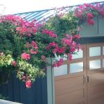 Garage Doors in Marin Image 3