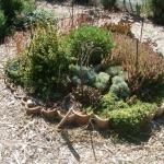 Good Landscaping Ideas in Marin Image 22
