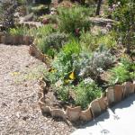 Good Landscaping Ideas in Marin Image 25