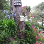 Good Landscaping Ideas in Marin Image 4
