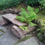 Good Landscaping Ideas in Marin Image 5