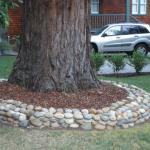 Good Landscaping Ideas in Marin Image 7