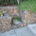 Good Landscaping Ideas in Marin Image 10