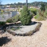 Good Landscaping Ideas in Marin Image 11
