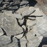 Marin Landscape Bluestone Image 44