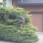 Mailboxes in Marin Image 6