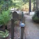 Mailboxes in Marin Image 13