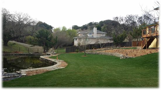 Pond Garden Design in Marin