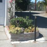 Planters and Pots in Marin Image 45