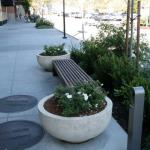 Planters and Pots in Marin Image 7