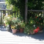 Planters and Pots in Marin Image 10