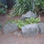 Rocks in Marin Image 6