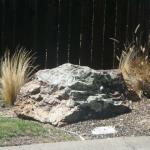 Rocks in Marin Image 8