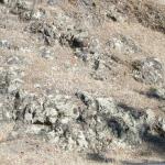 Rocks in Marin Image 5