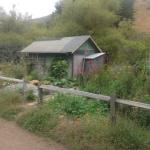 Sheds in Marin Image 12