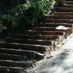 Steps in Marin Image 27