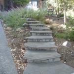 Steps in Marin Image 28