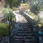Steps in Marin Image 32