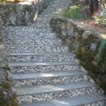 Steps in Marin Image 41