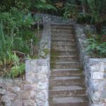 Steps in Marin Image 42