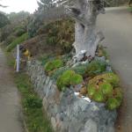 Retaining Walls in Marin Image 16