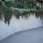 Retaining Walls in Marin Image 12
